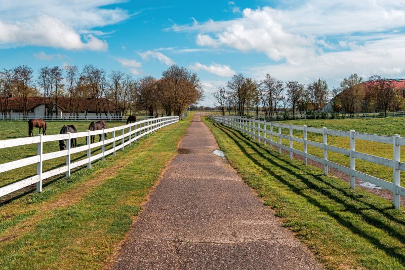 Equine Fence Installation in Pearland, TX